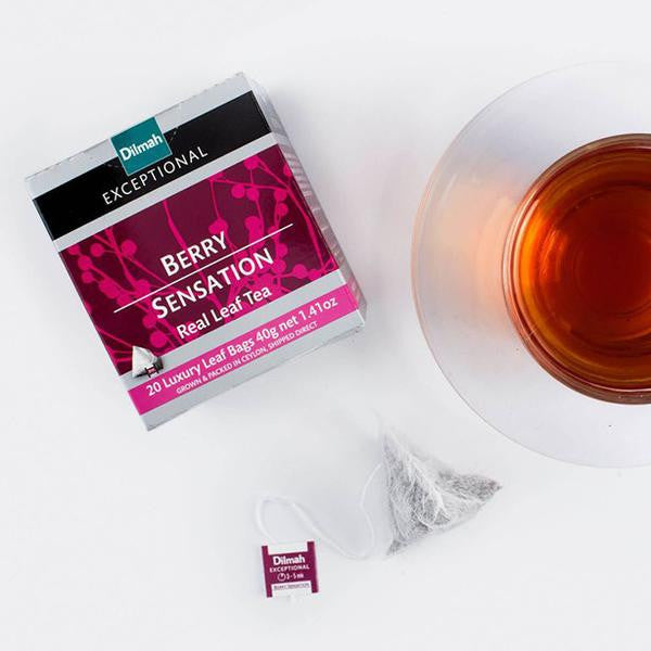 Dilmah Exceptional Teabag Range